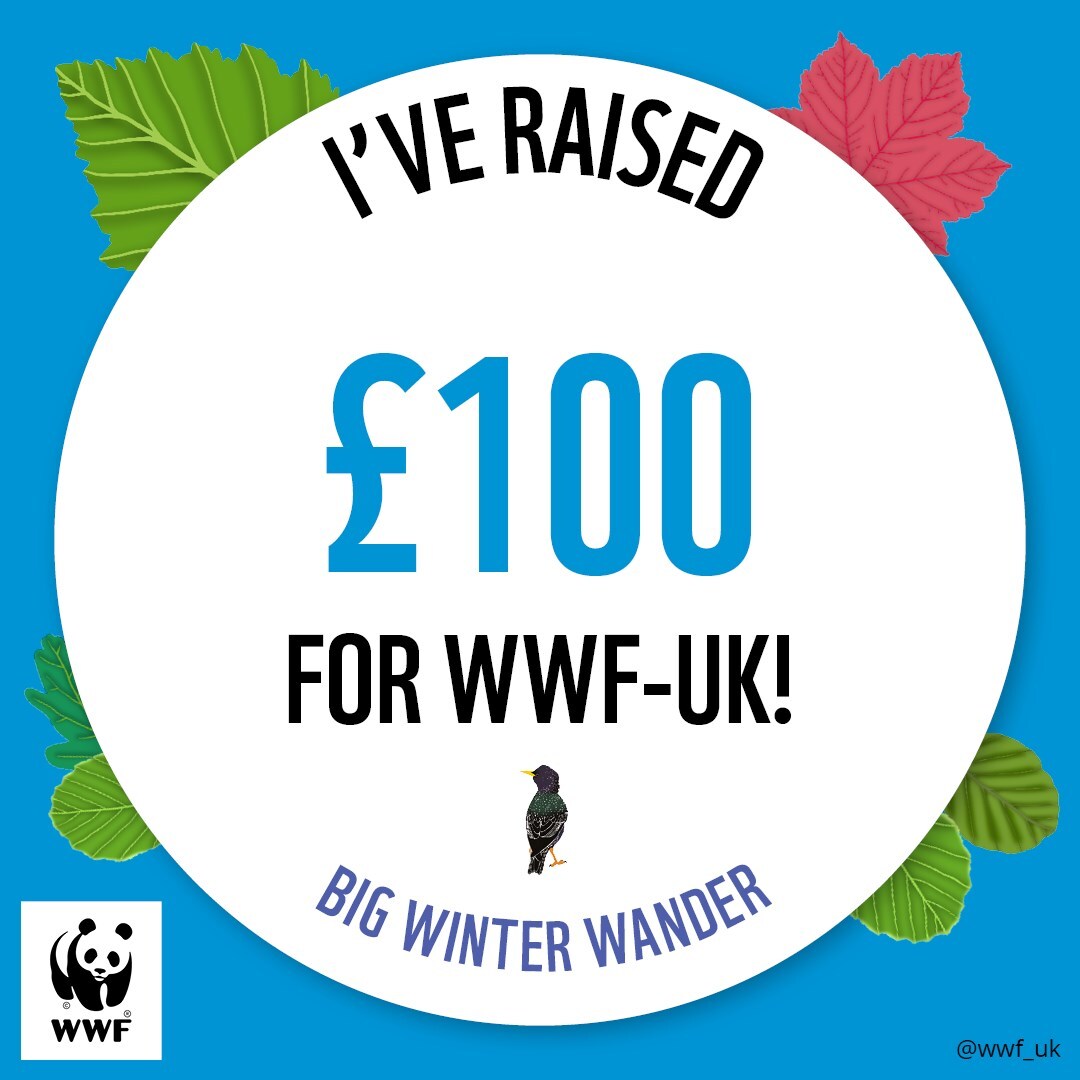 WWF UK The Big Winter Wander